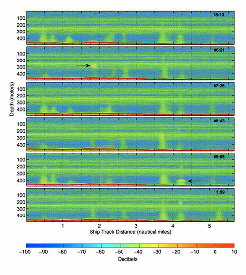 A time series of six sonar images collected over gaseous seeps at Biloxi Dome. The yellow-green vertical columns are seeps of gas bubbles emitted from the seafloor (red). Note changes in seep intensity through time and the appearance of 