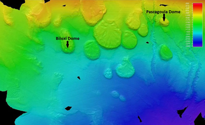 The seafloor off the coast of southeastern Louisiana. Greens and Orange represent the shallowest water - green is deeper - and blues represent the deepest water. The tops of salt domes are the more or less flat-topped circular features. Sometimes the salt cores get near the seafloor itself; sometimes, the core remains buried by younger sediments. The dome tops in this picture are some of hundreds in the northern Gulf of Mexico.