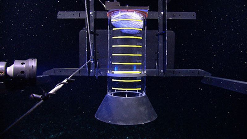 Methane bubbles rise into a clear cylinder, designed for measuring gas flux, where they form a mixture of hydrate and gas.