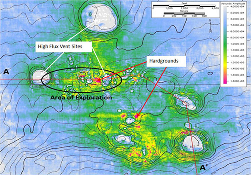 A seismic amplitude map of the seafloor was used to select dive targets which may be natural oil and/or gas seeps.