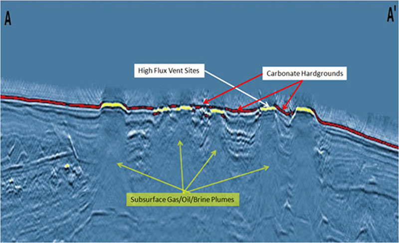 A vertical seismic cross-section showing the sedimentary layering below the seafloor along line A – A’.
