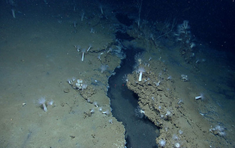 Underwater “rivers” and ponds of liquid brine were discovered at the EW915 site.