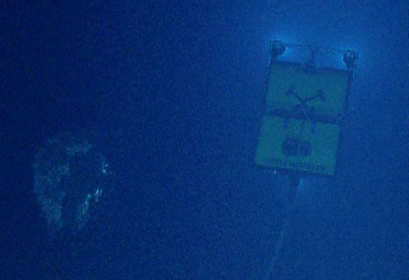 View from Seirios of Little Hercules searching in midwater. Between the ROV and the camera is a large web-like mucus feeding structure.