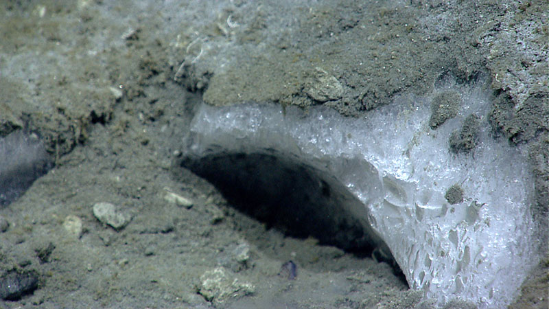 Close-up of methane hydrate observed at a depth of 1,055 meters, near where bubble plumes were detected in previous sonar data. Methane hydrates, a hydrate patch, and chemosynthetic communities were seen during today’s dive, but no active seepage was observed.