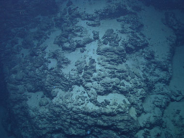 This view of steep basalt pillars on the north side of Mytilus Seamount resembles a lava flow, illustrating the seamount’s volcanic origin.