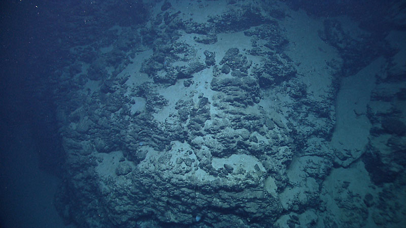 This view of steep basalt pillars on the north side of Mytilus Seamount resembles a lava flow, illustrating the seamount’s volcanic origin.