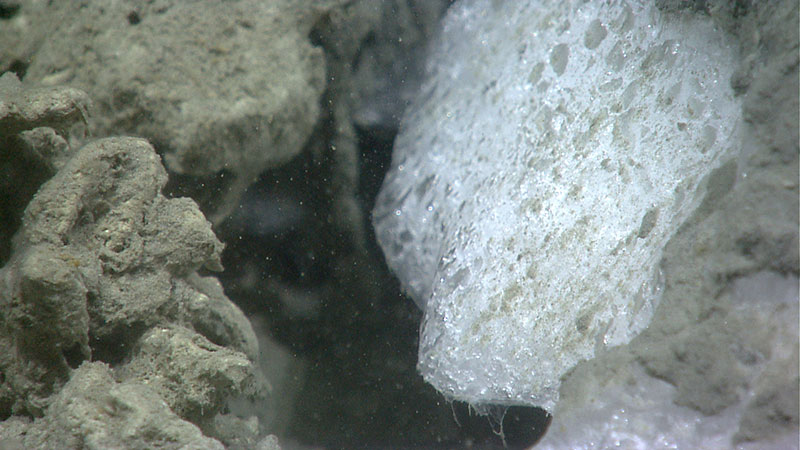 Gas hydrates found at the seafloor on July 11 and July 12 had different forms. Here, a small piece of massive gas hydrate formed above leaking methane.