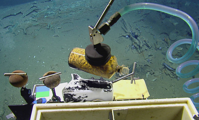 The Remotely Operated Vehicle (ROV) Hercules gently recovers a medicine bottle filled with ginger, a seasickness remedy, from an early 19th century shipwreck recently documented and partially excavated in the Gulf of Mexico in more than 4,300 feet of water.