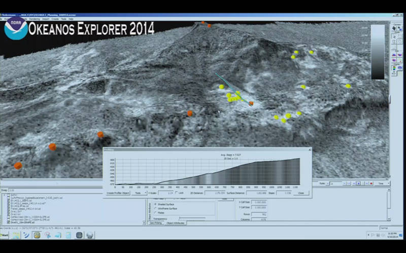 During remotely operated vehicle expeditions, the science team uses Fledermaus, a 3D visualization software, to view sonar data to help plan the upcoming dives. Our onboard science team displays the latest datasets collected by the ship and streams the computer display to shore as a live video feed so the entire team, regardless of location, can view the same computer display and engage in dive planning discussions. The image above displays the seafloor backscatter data at site GB648, which tells us the relative hardness of different areas of the seafloor (lighter areas are harder and likely carbonate material, and darker areas are softer and likely soft sediment). Orange dots are proposed dive waypoints, and the yellow dots are seafloor locations where our sonar detected possible gas bubble plumes emanating from the seafloor into the water column. Ultimately, the blue line in this image was decided upon by the group as the final dive target.