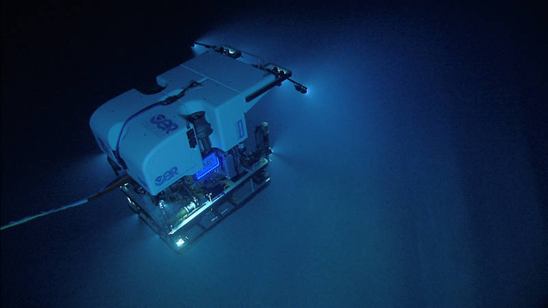 ROV Deep Discoverer as seen from the second part of the two-bodied system, camera sled Seirios, a mile beneath the ocean's surface.