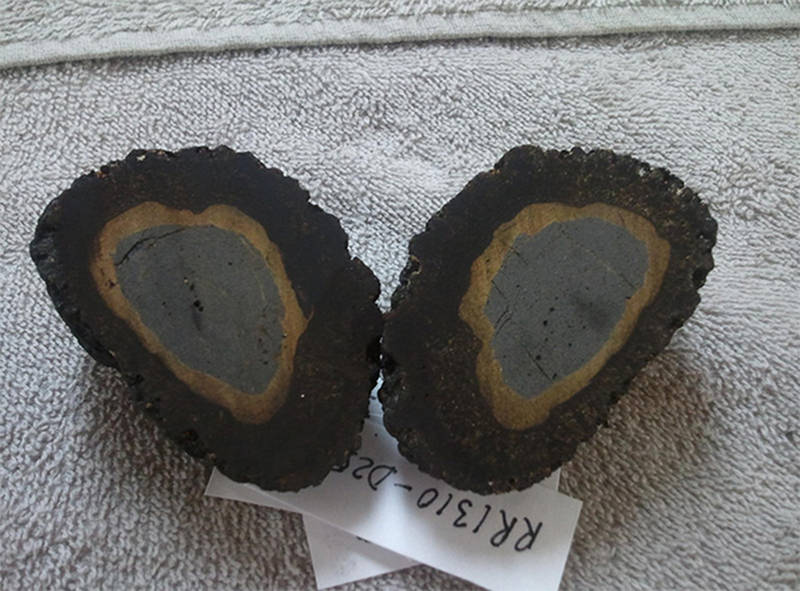 Manganese crust is a type of deposit that crystallizes out of seawater. In this picture, a rock has first been altered by contact with seawater (the yellow margin) and then covered in a black manganese rind.