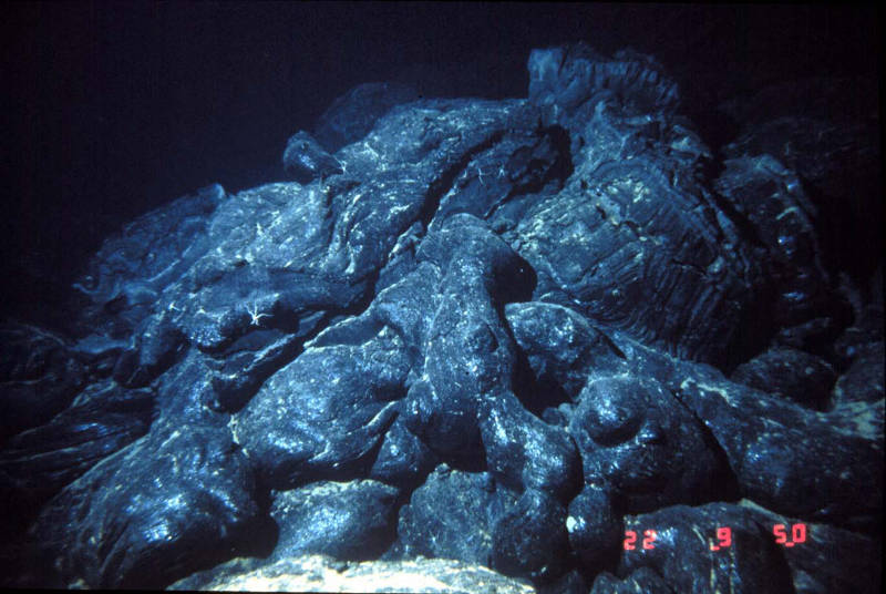 Lava flows can have different morphologies based on how quickly they were extruded. Pillow lavas are a common and very striking type of flow seen at seamounts.