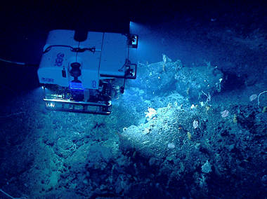 Dive 5 – Retriever Seamount