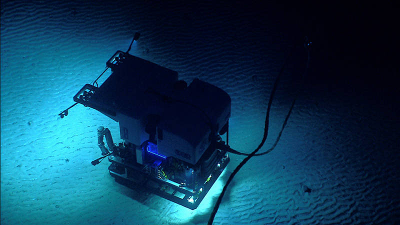 The ROVs discover a field of bed forms or ripples on a flat area of Kelvin Seamount. Geologists and oceanographers can learn a lot about the current conditions of an area by studying the size and shape of the ripples.