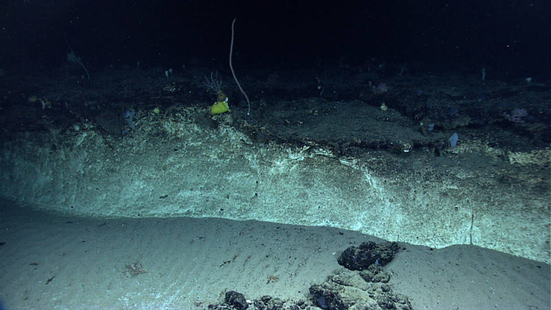 Atlantis II Seamount Inter-flow Carbonate Layer