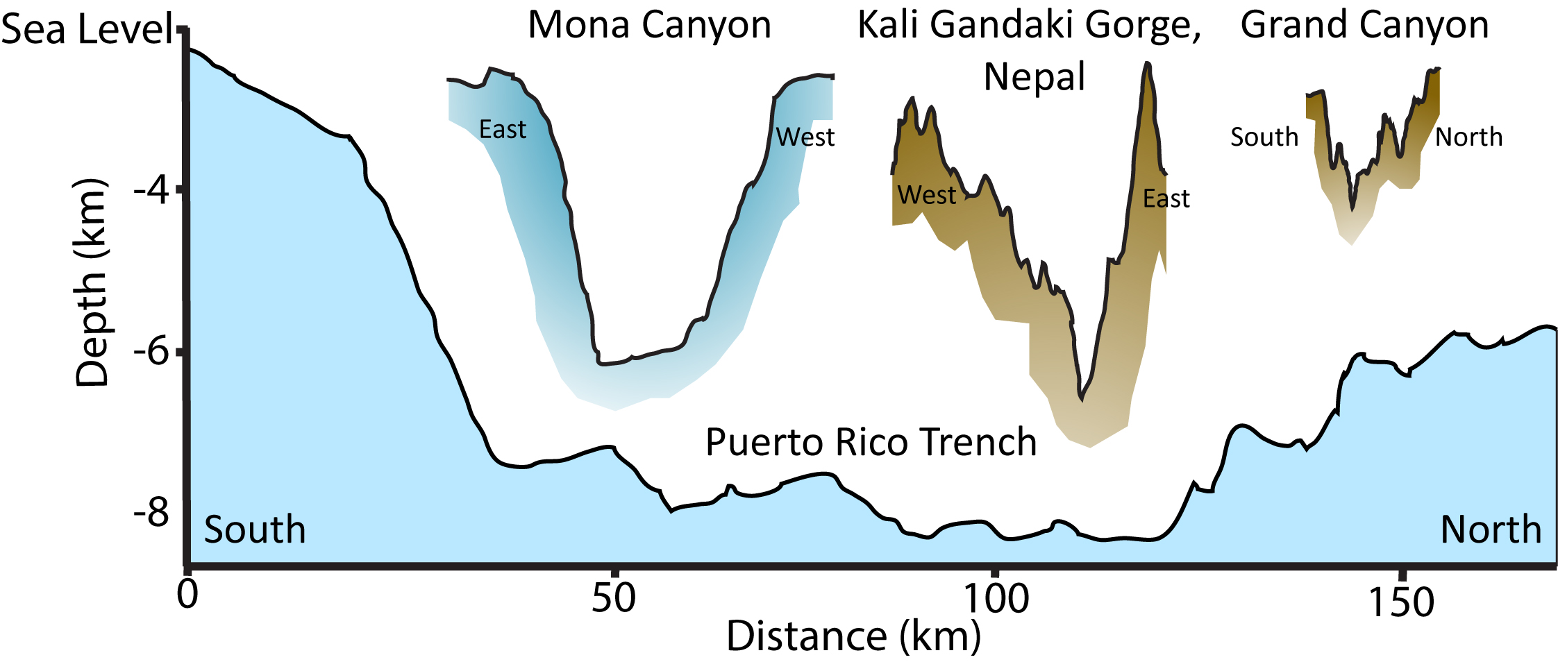 Exploring the Islands Surrounding Puerto Rico