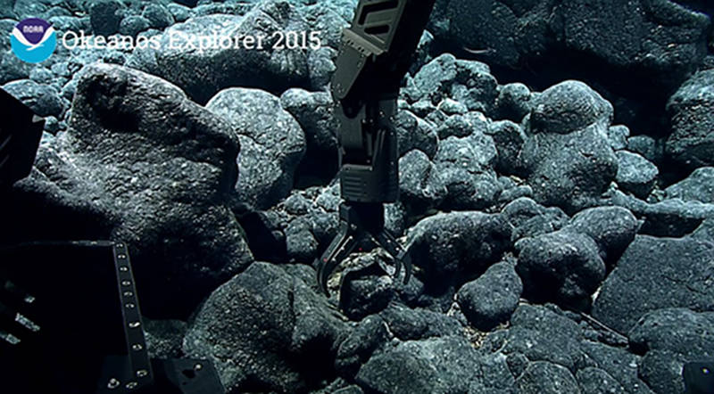 This is a photo of the ROV's manipulator arm grabbing a sample from the pillow lavas pictured in the rounded, toothpaste tubular look of pillow lavas background.