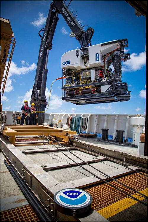The remotely operated vehicle Deep Discoverer being brought back on deck of the Okeanos Explorer after a successful dive in the Northwestern Hawaiian Islands.
