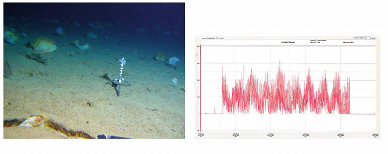 Figure 2. Photo: Flow meter with thermograph. Graph: Counts of impellor rotations showing tidal fluctuations in passing water flow over three months.