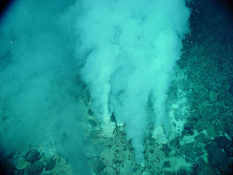 Hydrothermal Vents