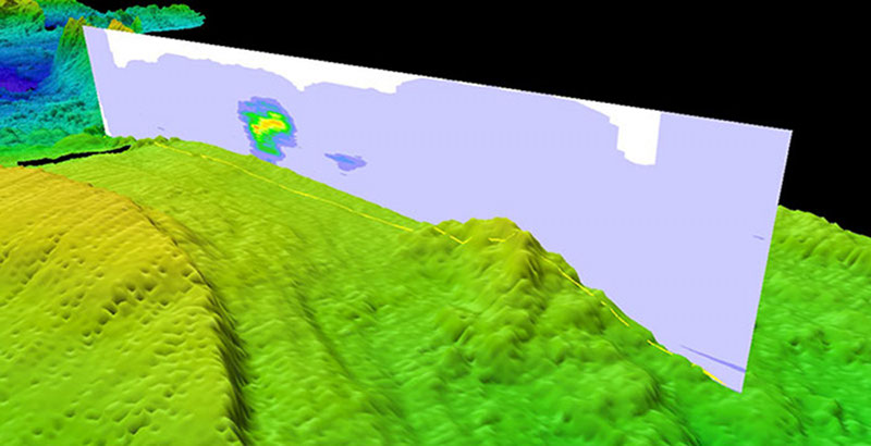 Hydrothermal vent plume visualization at 17°N.