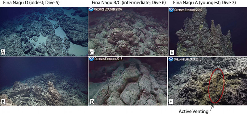 Screenshots of the seafloor observed during remotely operated vehicle dives on Fina Nagu Dive 5(3A, B), dive 6 (3C, D), and Dive 7 (3E, F). The northern caldera wall of Caldera D consisted of fractured pillow lavas with some loose white sediment (3A) and dikes (3B). The eastern ridge separating Calderas B and C consisted of well-preserved pillow lavas (3C), some of which formed large tubes along the slopes (3D). We explored two small domes on the seafloor of Caldera A. The eastern dome was topped with a majestic fragile hydrothermal chimney complex that is 14 meters tall; only a few of the upper spires are shown in 3E. The western dome was covered with collapsed hydrothermal chimneys and deposits, and we also found a site of weak venting (3F).