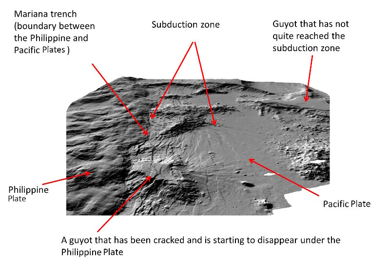 This figure shows the Mariana Trench, the subduction zone, and guyots that have not yet reached the subduction zone.