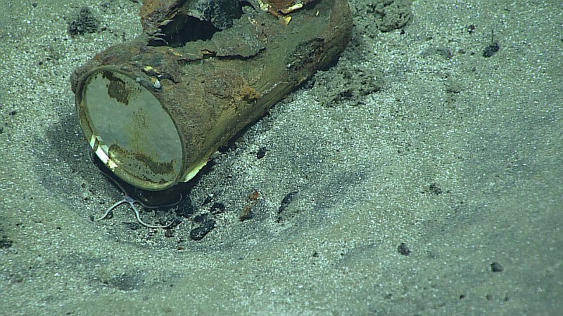 This can was observed on Dive 12 at Unnamed Forearc Seamount at a depth of 3,306 meters.