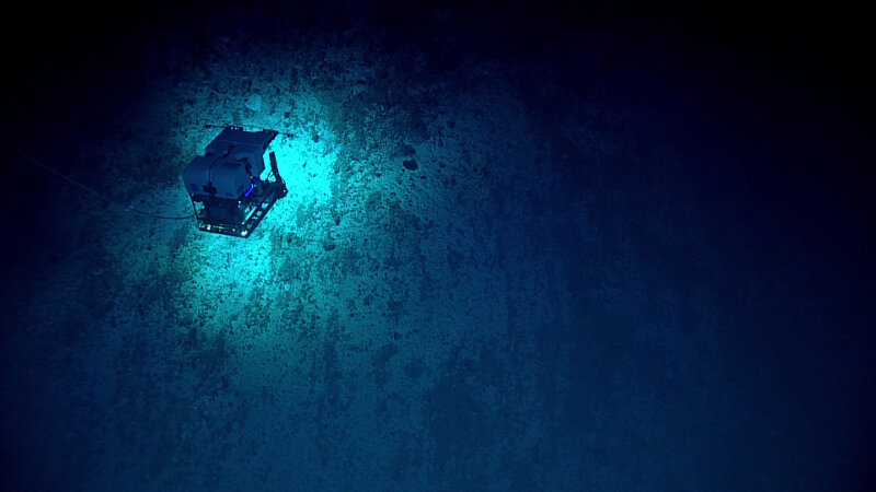 Remotely operated vehicle Deep Discoverer exploring the seamount wall on Dive 16 at Subducting Guyot 1.