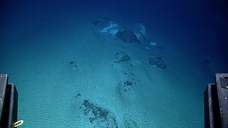 Peridotite boulders in rippled sediment on Dive 4 at Hadal Ridge.