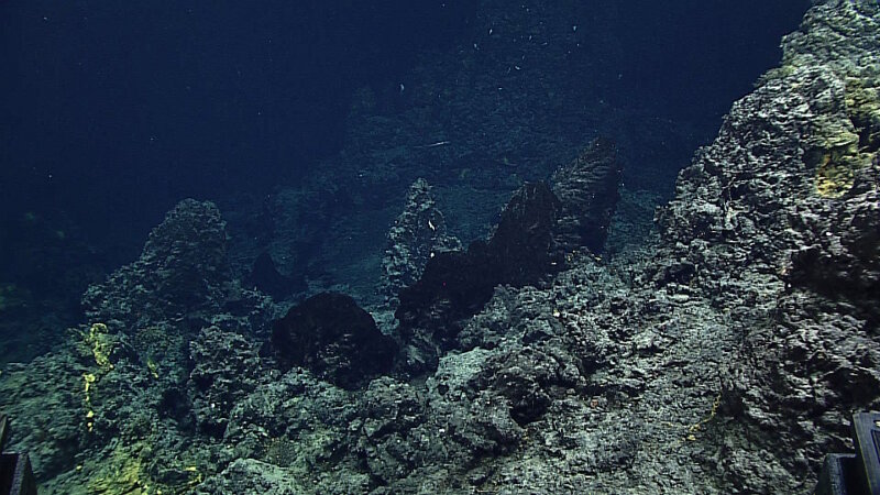 Small hydrothermal vent chimneys on Dive 7 at Chamorro Seamount.