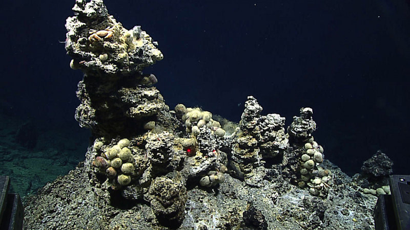 Small (approximately one meter tall) hydrothermal chimney with “hairy snails.”