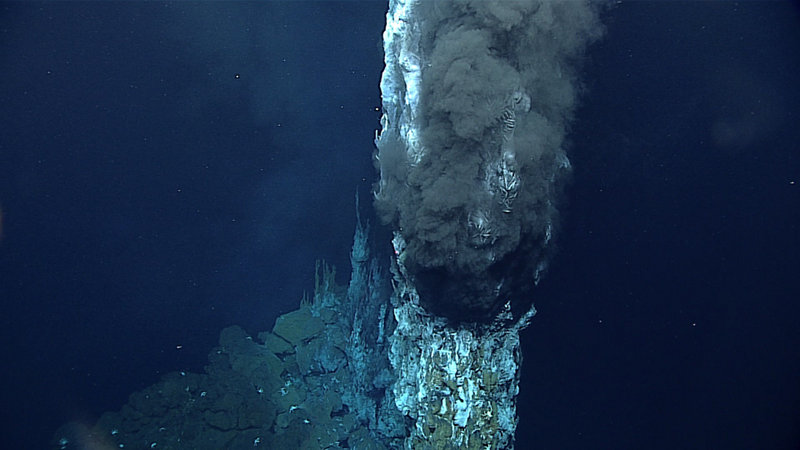A “black smoker” on Dive 11. Where the super-hot vent fluid meets very cold ambient sea water (2°C) of the deep sea, minerals that are carried in the fluid precipitate out of solution, forming spectacular vent chimneys. We measured the temperature of the vent fluid at 339°C.