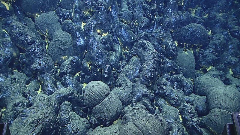 On Dive 9, we dove on a new pillow lava flow. Comparison of bathymetry collected in 2013 and 2015 indicated an eruption over 100 meters thick. We visited three pillow mounds that were composed almost entirely of glassy pillow lavas.