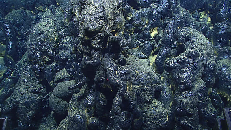 Shiny black pillow lava with many finger-like “buds,” from the recent eruption site that is less than three years old.