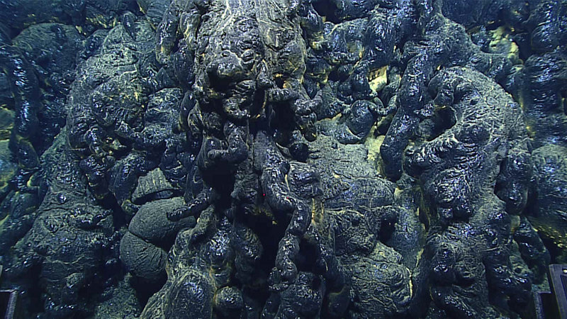 Shiny black pillow lava from the recent eruption site that is less than three years old.