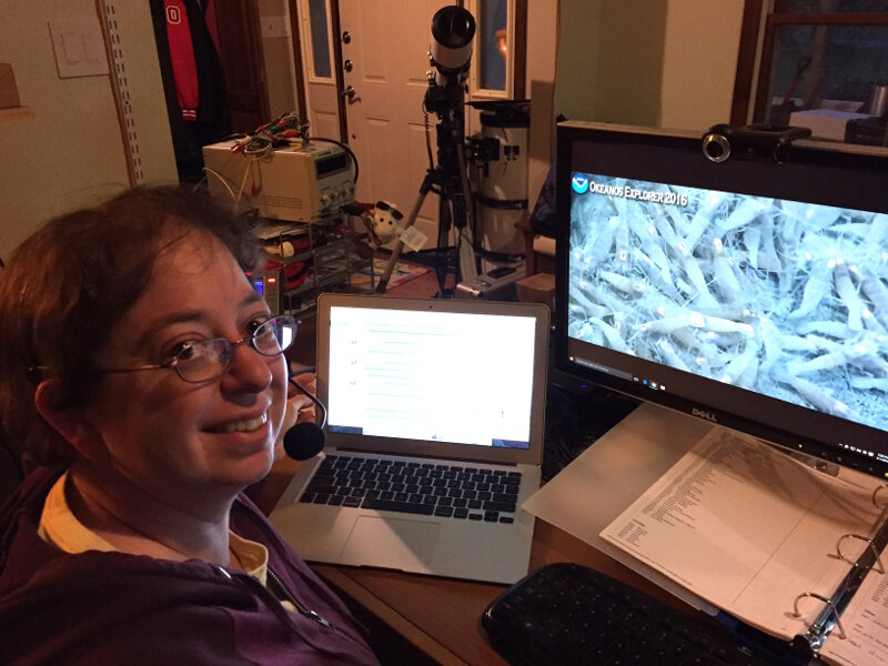 Tara Harmer Luke, Associate Professor of Biology at Stockton University, watching a swarm of hydrothermal vent shrimps on her home computer.