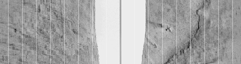 Figure 1: Side scan sonar image of an F6F Hellcat fighter plane (lower right) off Pearl Harbor, Oahu.