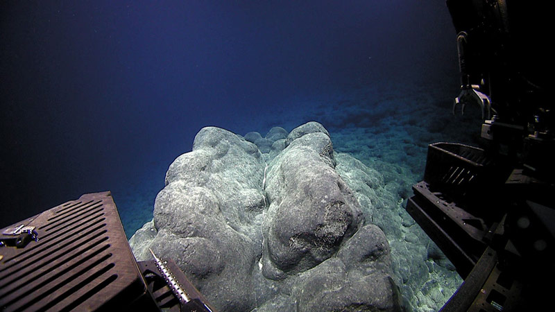 Clearly visible pillow lavas seen during the exploration of an unnamed seamount despite the fact that the seamount is quite old and manganese-crusted.