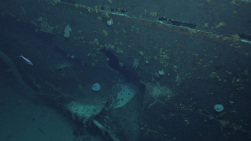 Considerable damage seen on the hull of the Amakasu Maru No.1 may be due to torpedoes fired by the American submarine, USS Triton.