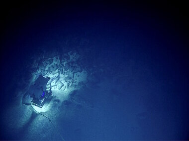 ROV Deep Discoverer on the bottom at Kingman Cone. The seafloor was manganese-encrusted carbonate with soft sediment between boulders and rock debris.