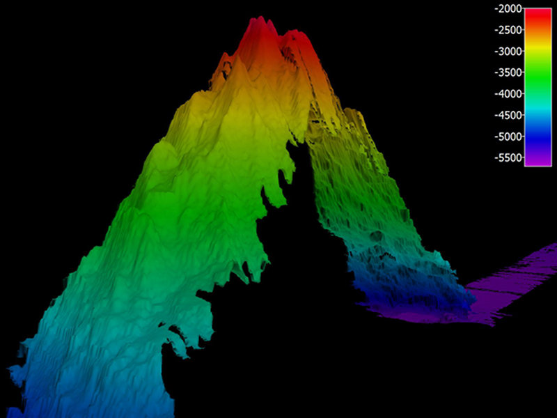 Seamount we mapped on the return voyage to Honolulu. This “Mountain in the Deep” rose approximately 3,000 meters (9,840 feet) from the seafloor – a fitting end to this spectacular journey!