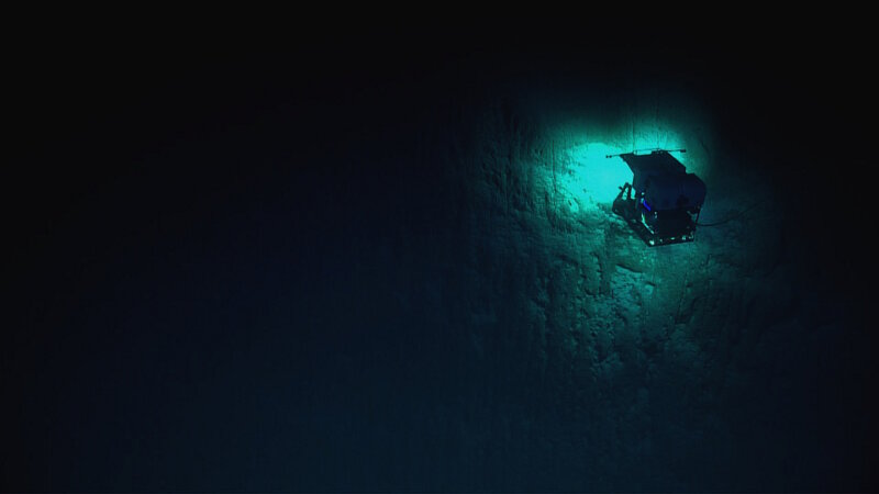 Sunlight does not penetrate the deep sea. Remotely operated vehicles Deep Discoverer (pictured here, at ~360 meters at the Aunu’u Unit of National Marine Sanctuary of American Samoa) and Seirios have multiple lights - over 40 lights between the two robots. This allows researchers to see in the deep ocean.
