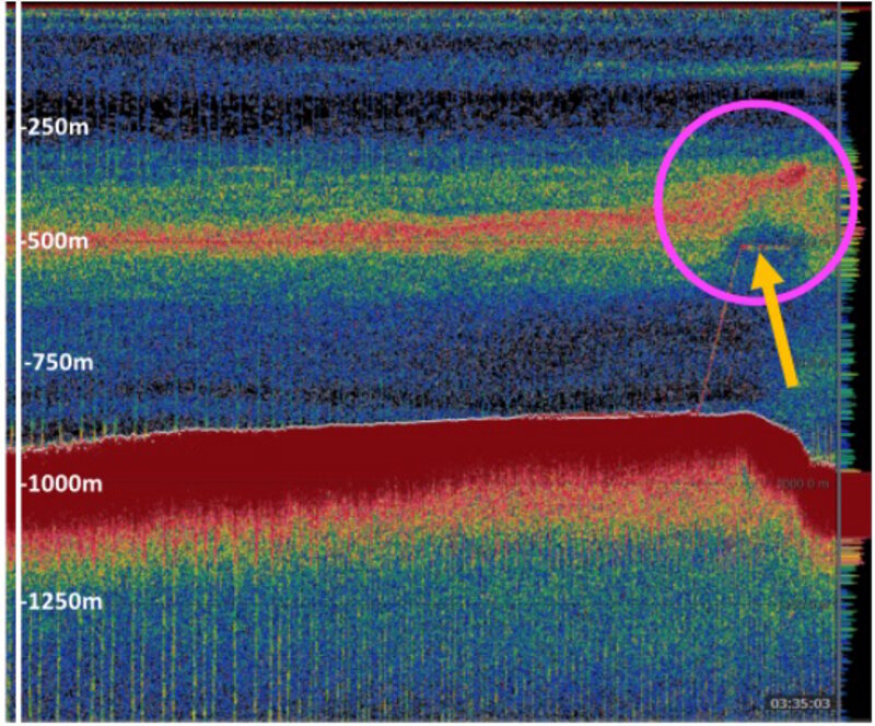 This is an echogram, showing acoustic backscatter data from the EK60 aboard NOAA Ship Okeanos Explorer. The dark red region represents the seafloor, and the thin red trace is from the ROV. The green, yellow, and red higher intensity backscatter represents animals of the deep scattering layer in midwater. ROV avoidance is clearly visible (within the pink circle) with the dark blue area surrounding the ROV (highlighted by the yellow arrow) at 500 meters (1,640 feet) depth and the upward displacement of the scattering layer animals.
