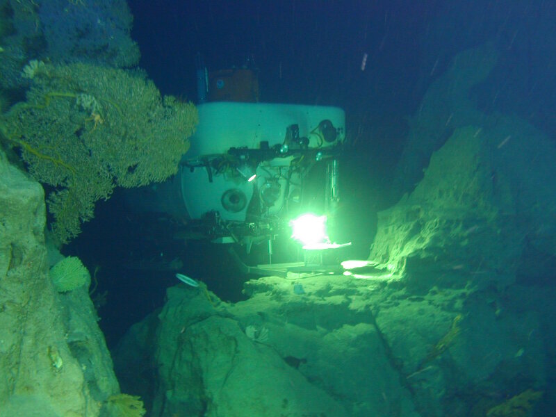 The slopes of Jarvis Island, Palmyra Atoll, and Kingman Reef were first surveyed in 2005 by the University of Hawai‘i and NOAA’s Hawai‘i Undersea Research Laboratory’s Pisces IV and V submersibles. Here, one of the Pisces submersibles rests in a notch between two pinnacles, next to a large gold coral fan. The terrain on the slopes of these islands was extremely rugged, posing challenges for the submersible pilots. We expect to see similar topography during NOAA Ship Okeanos Explorer surveys at these islands.