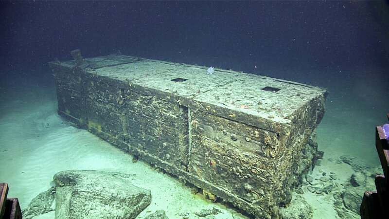 At 785 meters (2,575 feet) depth, remotely operated vehicle Deep Discoverer encountered a World War II-period causeway called a “rhino barge.” Rhino barges were large floating platforms comprised of joined-together steel pontoons that could transport vehicles and supplies to beaches. This is one pontoon.