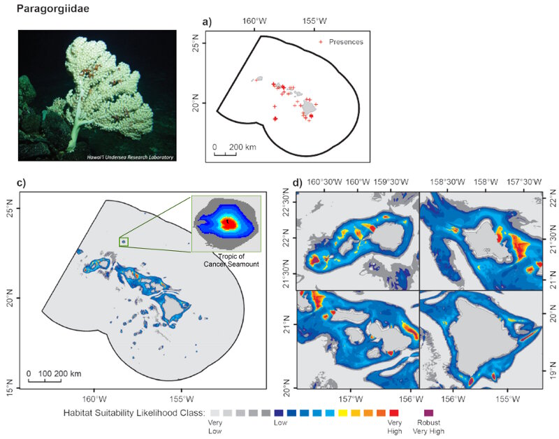 Example of a habitat suitability model for deep-sea corals in the family Paragorgiidae.