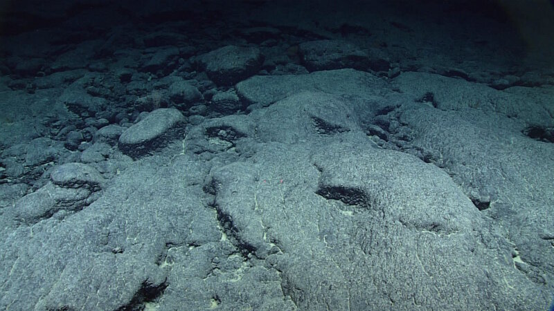 Smooth lava flows like these tend to indicate rapid movement of lava as it erupts either due to erupting on a steep slope or the expulsion of lots of lava from a volcano in a short period of time.