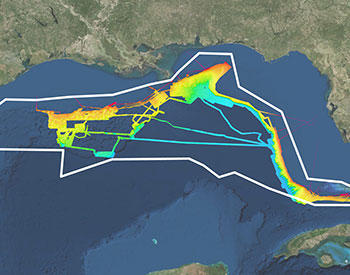 Why are scientists exploring the Gulf of Mexico?