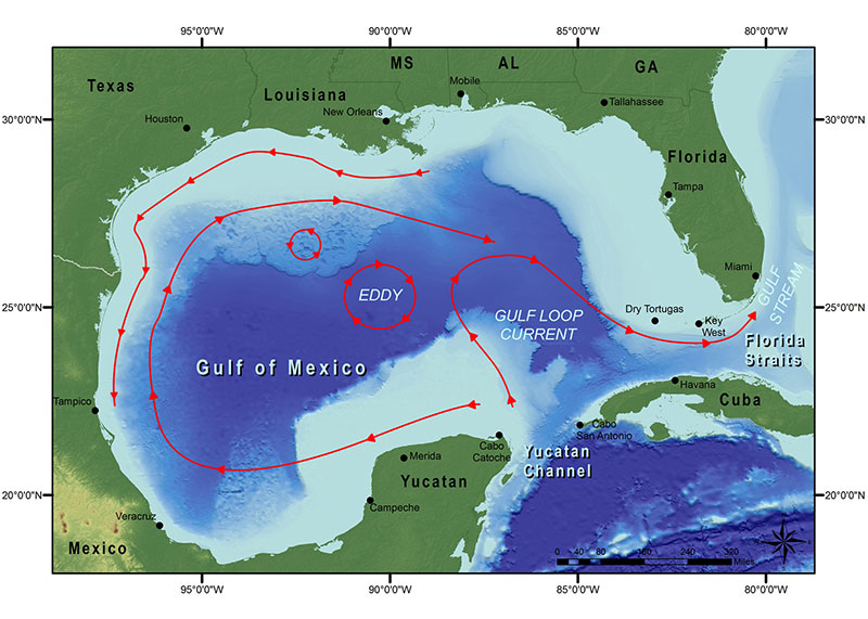 Basic current patterns in the Gulf of Mexico, including the Loop Current.